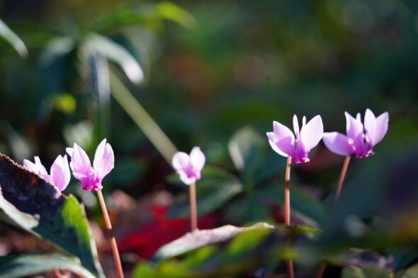 DSC08633_01
