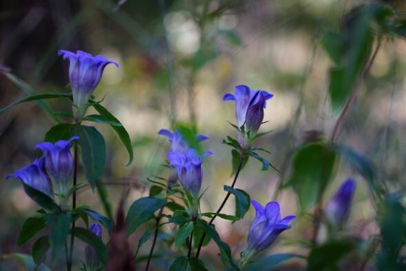 DSC08683_01