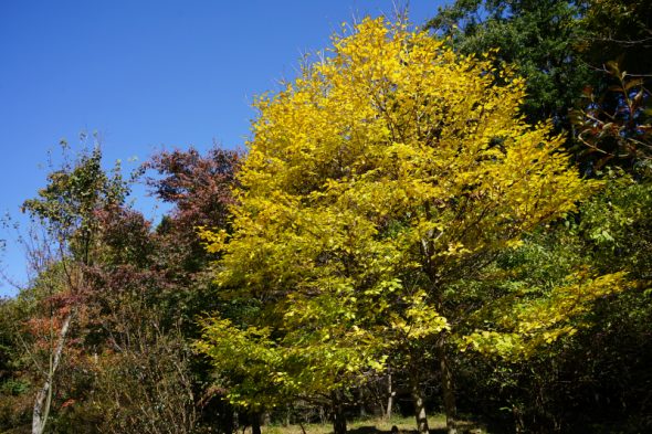 DSC08714_01