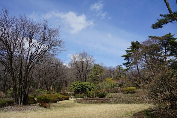 DSC08977
