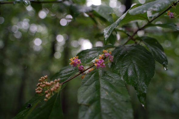 DSC09083