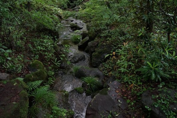 DSC09096