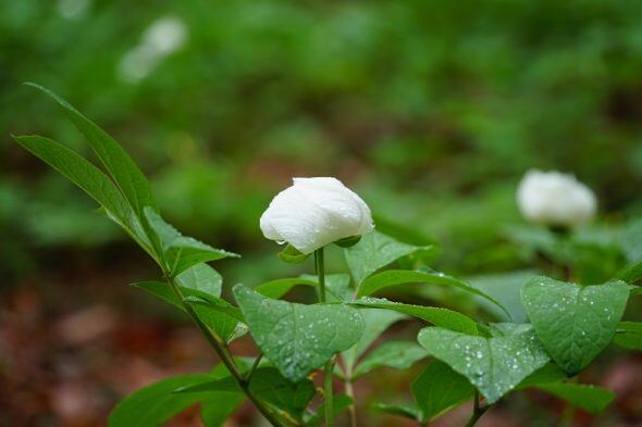 DSC09258