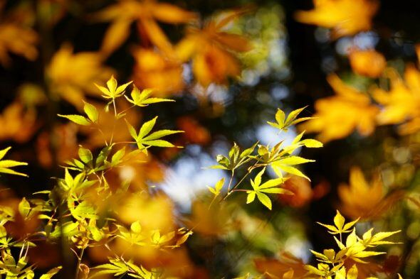 DSC09382_01