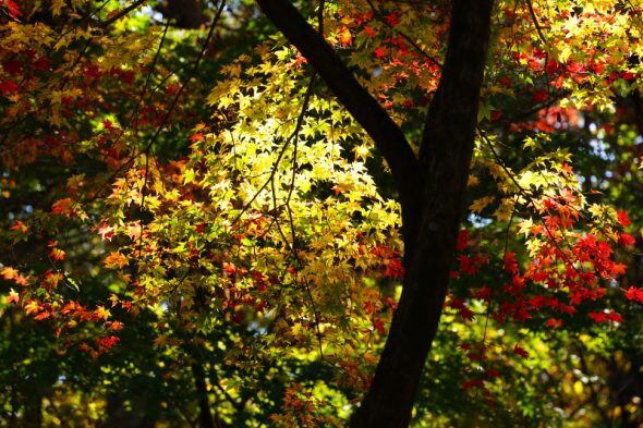 DSC09394_01