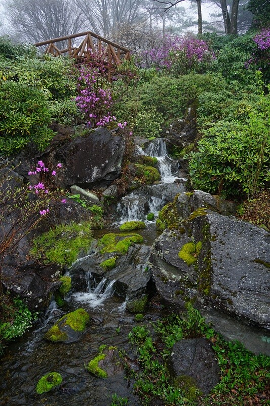 DSC09547