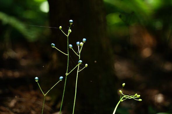 DSC09907