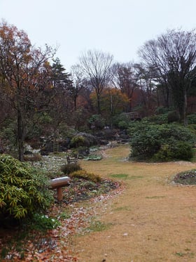 休園中の自然園