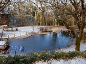 静寂の赤城自然園