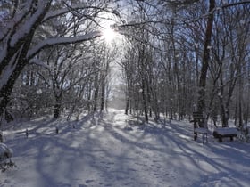 雪化粧