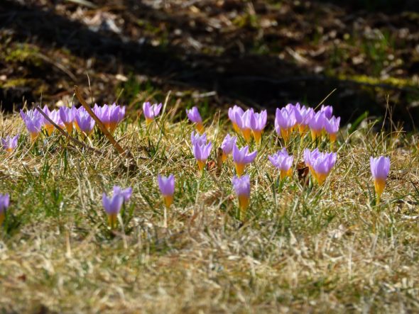 DSCN1628_01