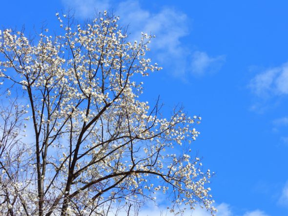 DSCN2141_01
