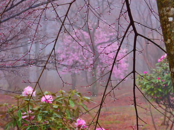 DSCN2165_01
