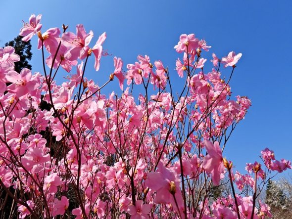 DSCN2804
