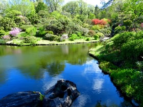 臨時休園中の花だよりNo.3