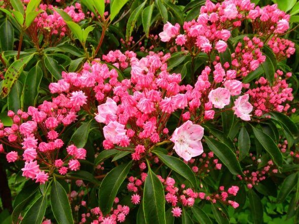 DSCN3553_01