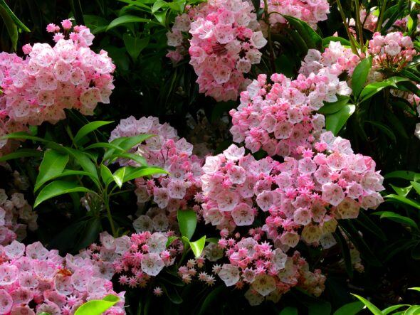 DSCN3577_01