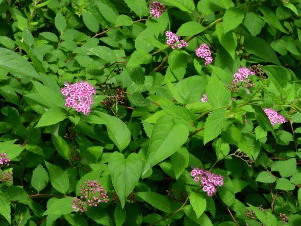 DSCN3728_01