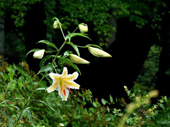 DSCN4019_01