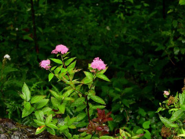 DSCN4020_01