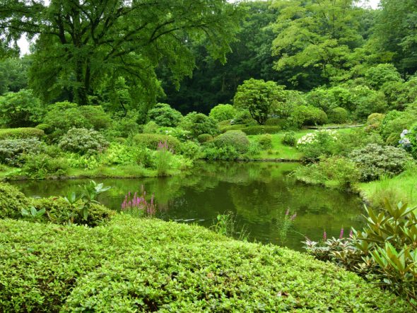 DSCN4096_01