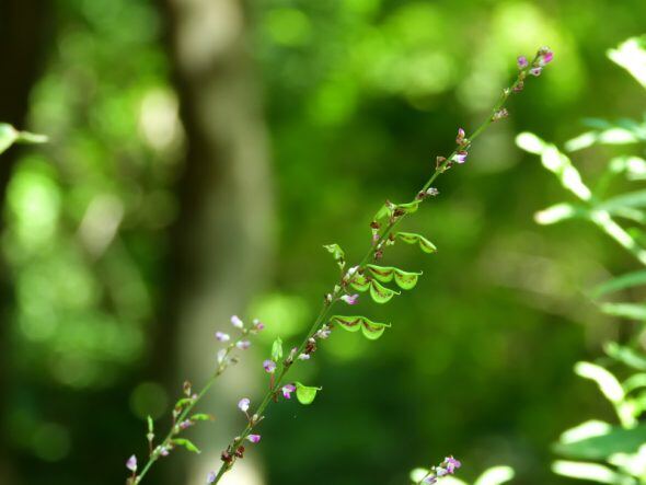 DSCN4334_01