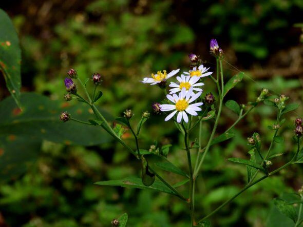 DSCN4649