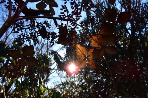 DSCN6343_01
