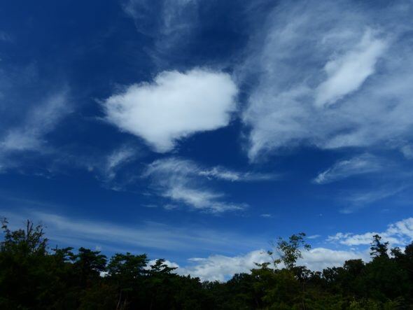 DSCN7029