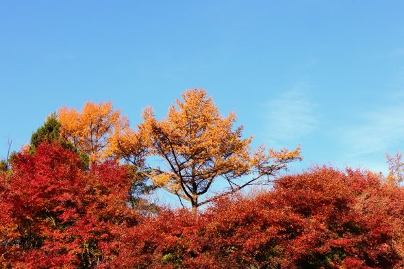DSCN9017