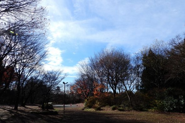 DSCN9390