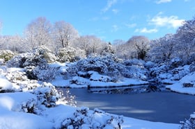 クリスマス