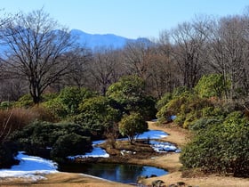 2019年最後のブログ更新です