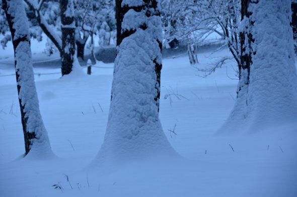 DSC_2584 (800x530)
