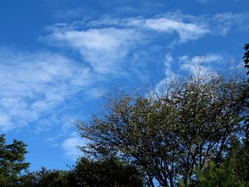 秋の空