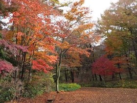 紅葉情報№３
