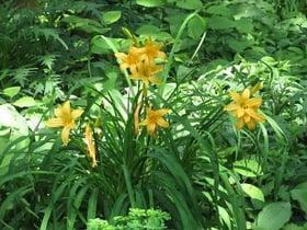 春の開園　６月５日（日）まで