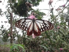 初秋の開園 10月10日(月)まで