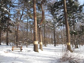 １月２２日（日）サポーター特別開園開催いたします