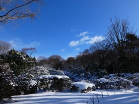 休園中の赤城自然園No.4