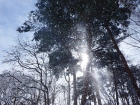 休園中の赤城自然園No.7