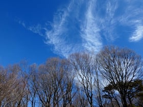 2月17日、18日（土、日）サポーター特別開園(追加特別開園)開催いたします