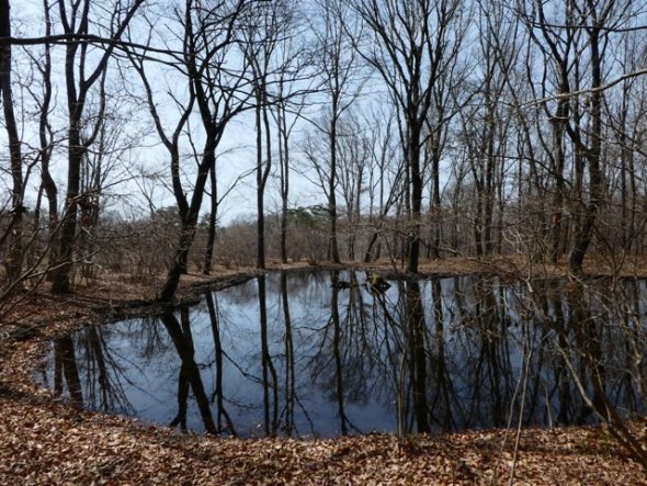 P1040033