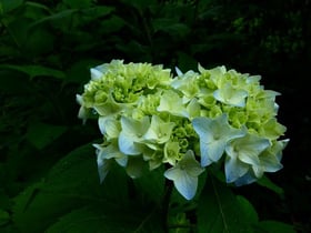 夏至