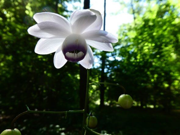 P1080442