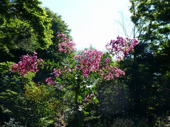 P1080723