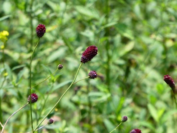 P1080817