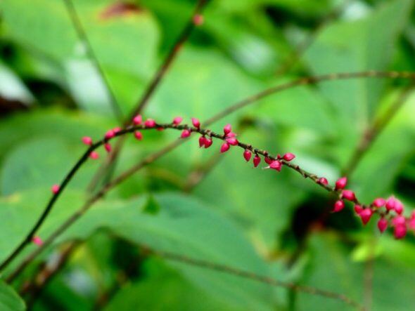 P1090017