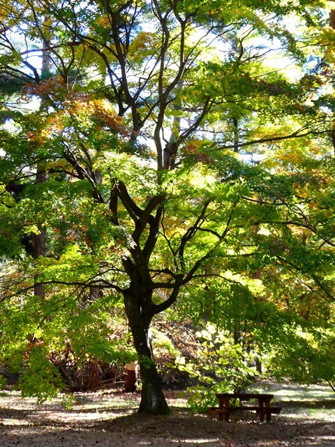 P1110102