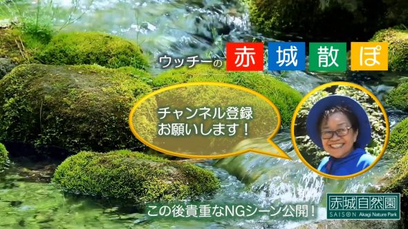 赤城散ぽ02